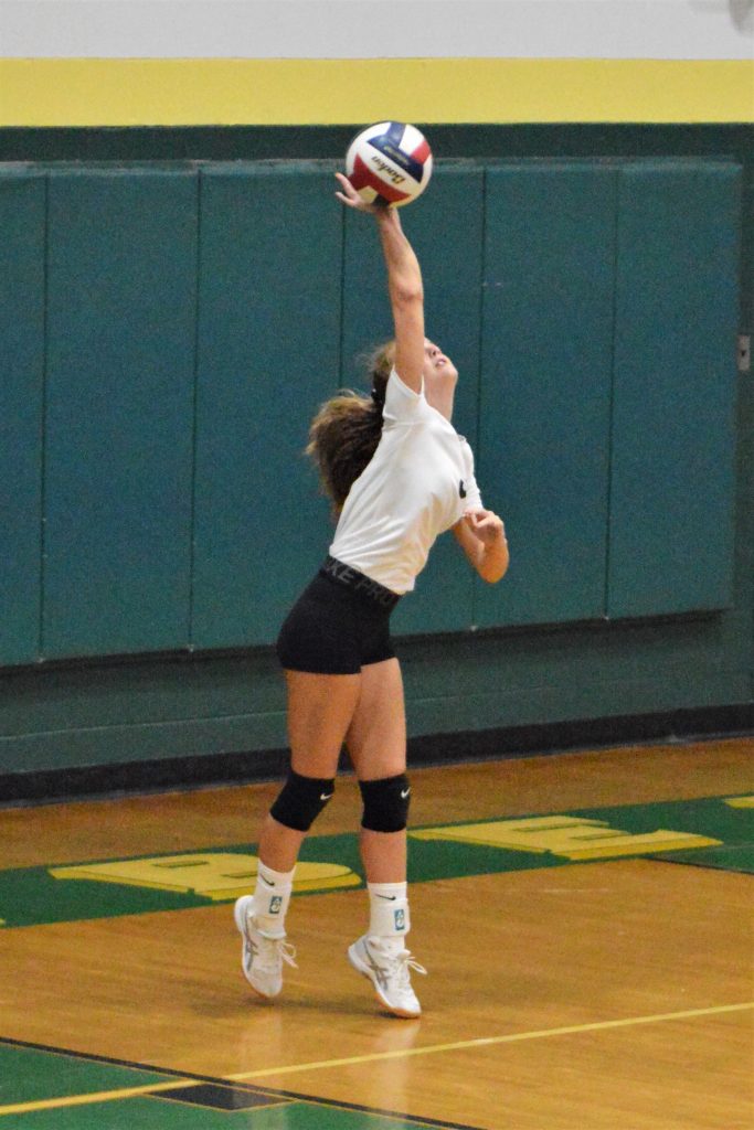Lady Gators top Carmichaels in 2A volleyball showdown HeraldStandard